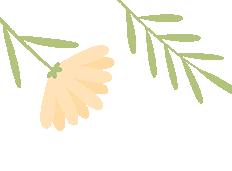 暑期关愛(ài) | 清远婦(fù)聯(lián)暑期关愛(ài)活动精(jīng)彩集锦