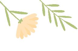 暑期关愛(ài) | 清远婦(fù)聯(lián)暑期关愛(ài)活动精(jīng)彩集锦